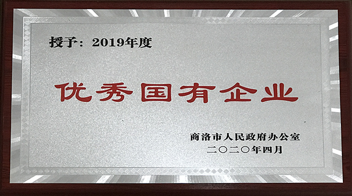 市城投公司榮獲2019年度優(yōu)秀國有企業(yè)稱號(hào)