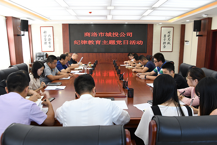 市城投公司開展“明紀(jì)律、知敬畏、存戒懼、守底線、做表率”紀(jì)律教育學(xué)習(xí)活動