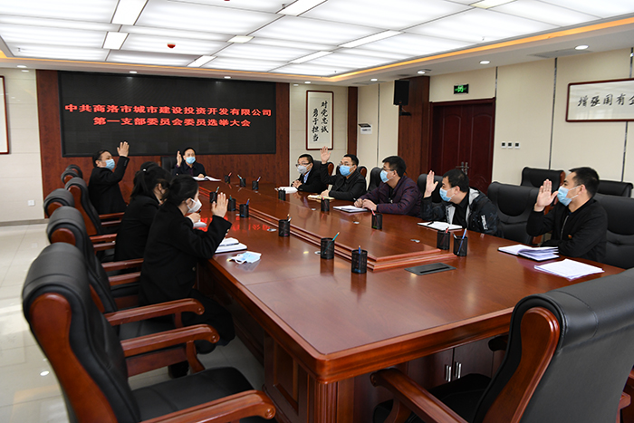 黨建引領(lǐng)謀發(fā)展  逐夢(mèng)前行譜新篇 ——市城投公司黨總支所屬各支部召開黨員大會(huì)選舉產(chǎn)生第一屆支委成員