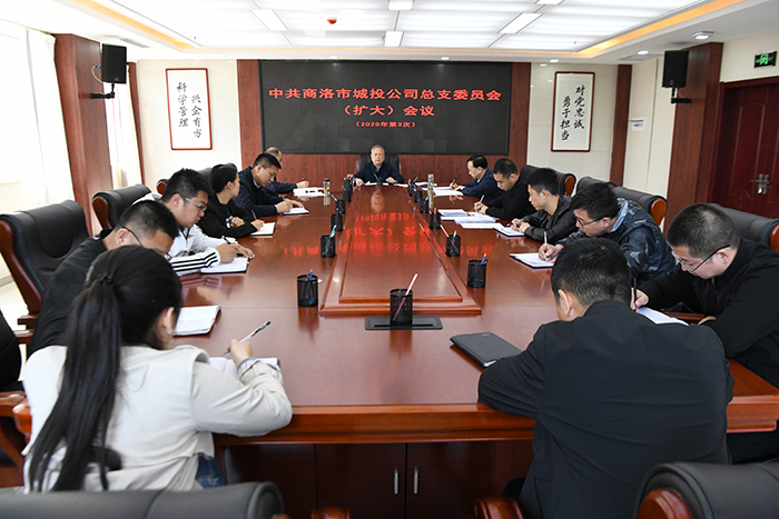 市城投公司召開總支委員（擴大）會議    傳達學(xué)習(xí)習(xí)近平總書記來陜考察重要講話     重要指示精神