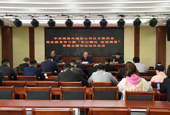 公司黨總支召開黨史學習教育暨“牢記囑托、奮進商洛”黨建主題活動動員會議